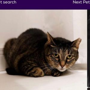 Meet your Posher, Kaia